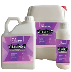 vitamino